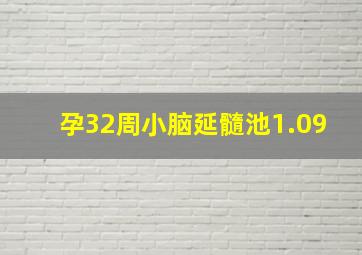 孕32周小脑延髓池1.09