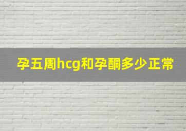 孕五周hcg和孕酮多少正常