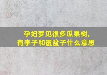 孕妇梦见很多瓜果树,有李子和覆盆子什么意思