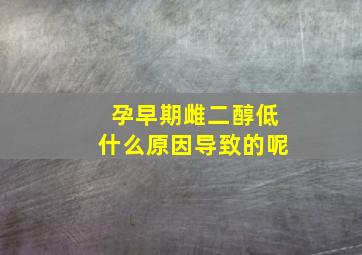 孕早期雌二醇低什么原因导致的呢