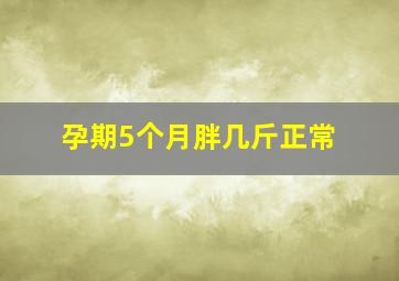 孕期5个月胖几斤正常