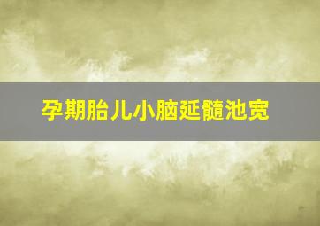 孕期胎儿小脑延髓池宽