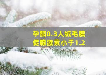 孕酮0.3人绒毛膜促腺激素小于1.2