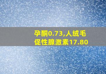 孕酮0.73,人绒毛促性腺激素17.80