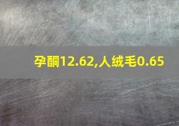 孕酮12.62,人绒毛0.65