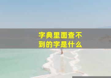 字典里面查不到的字是什么