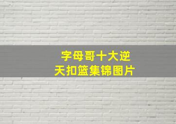 字母哥十大逆天扣篮集锦图片