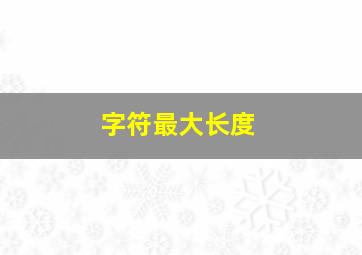 字符最大长度