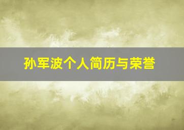 孙军波个人简历与荣誉