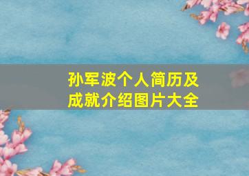 孙军波个人简历及成就介绍图片大全