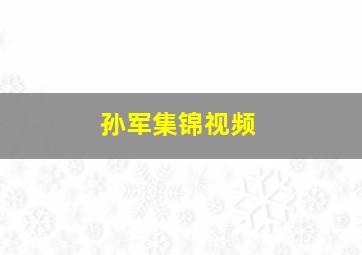 孙军集锦视频