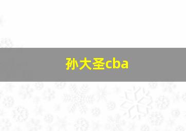 孙大圣cba