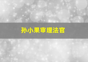 孙小果审理法官