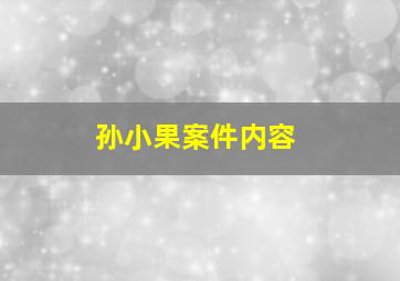 孙小果案件内容