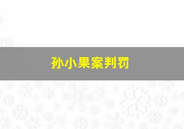 孙小果案判罚