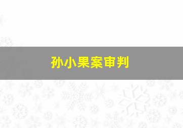 孙小果案审判