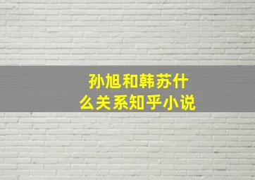 孙旭和韩苏什么关系知乎小说