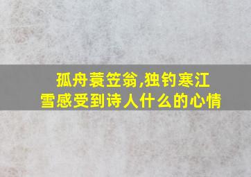 孤舟蓑笠翁,独钓寒江雪感受到诗人什么的心情