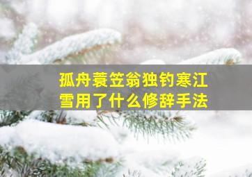 孤舟蓑笠翁独钓寒江雪用了什么修辞手法