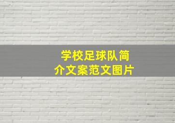 学校足球队简介文案范文图片