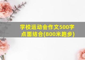 学校运动会作文500字点面结合(800米跑步)