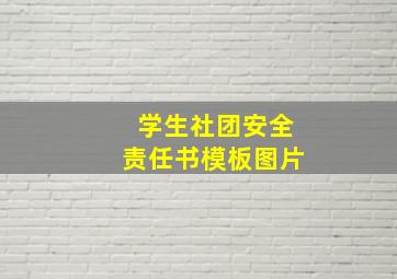 学生社团安全责任书模板图片