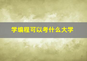 学编程可以考什么大学