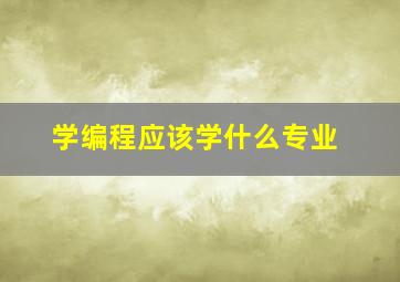 学编程应该学什么专业