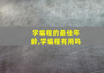 学编程的最佳年龄,学编程有用吗