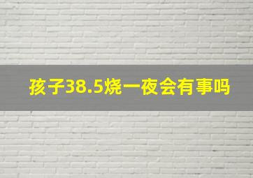 孩子38.5烧一夜会有事吗