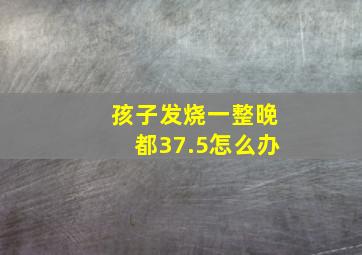 孩子发烧一整晚都37.5怎么办