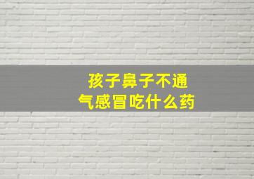 孩子鼻子不通气感冒吃什么药