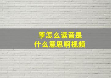 孳怎么读音是什么意思啊视频