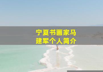 宁夏书画家马建军个人简介