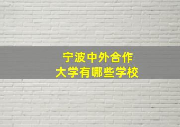 宁波中外合作大学有哪些学校