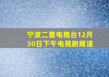 宁波二套电视台12月30日下午电视剧频道