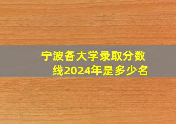 宁波各大学录取分数线2024年是多少名