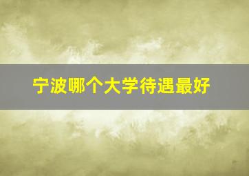 宁波哪个大学待遇最好