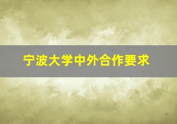 宁波大学中外合作要求