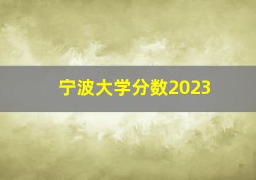 宁波大学分数2023