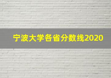 宁波大学各省分数线2020