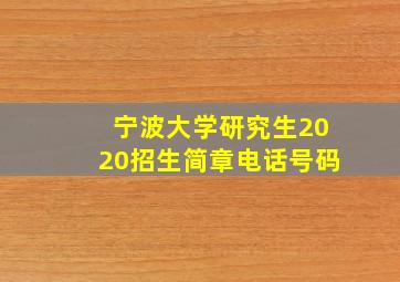 宁波大学研究生2020招生简章电话号码