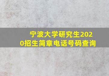 宁波大学研究生2020招生简章电话号码查询