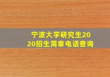 宁波大学研究生2020招生简章电话查询