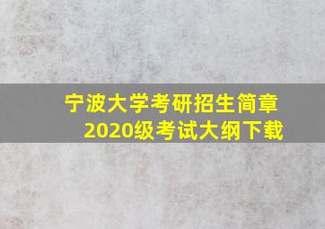 宁波大学考研招生简章2020级考试大纲下载