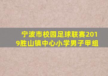 宁波市校园足球联赛2019胜山镇中心小学男子甲组