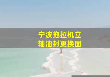 宁波拖拉机立轴油封更换图