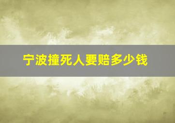 宁波撞死人要赔多少钱