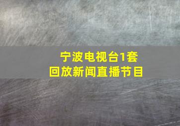 宁波电视台1套回放新闻直播节目