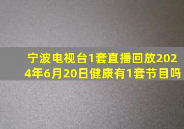 宁波电视台1套直播回放2024年6月20日健康有1套节目吗